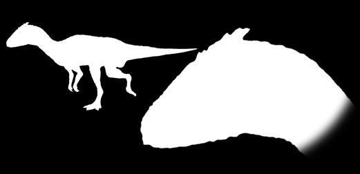 rzeźbiarzy DinoProduct oferuje