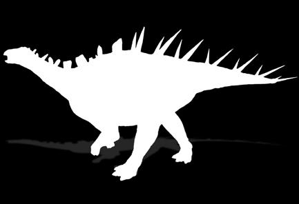 PSITTACOSAUR wysokość - 120 cm, długość 220 cm,