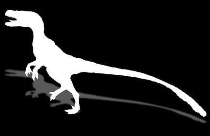 DINOZAURY - OFERTA STANDARDOWA DOSTĘPNA PRZEZ CAŁY ROK VELOCIRAPTOR wysokość - 120 cm, długość 200 cm, szerokość 4 0 cm STANOWISKO MŁODEGO ODKRYWCY