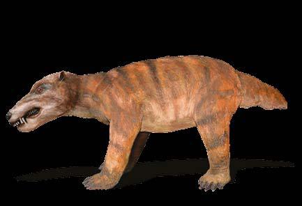 DINOZAURY OFERTA SPECJALNA ALTASCOPCOZAUR wysokość - 80 cm, długość 250 cm, szerokość 40 cm CELOFYZ wysokość - 120 cm,