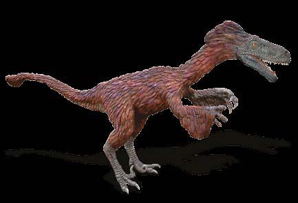 DINOZAURY OFERTA SPECJALNA