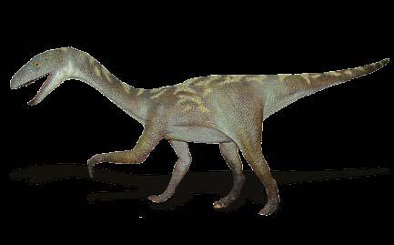 cm, szerokość 270 cm wysokość - 120 cm,