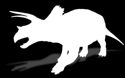 TRICERATOPS MAŁY wysokość - 80 cm, długość 200
