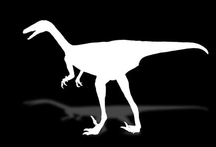 DINOZAURY OFERTA SPECJALNA TROODON