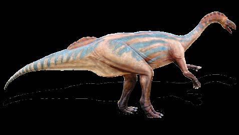 760 cm, szerokość 100 cm IGUANODON