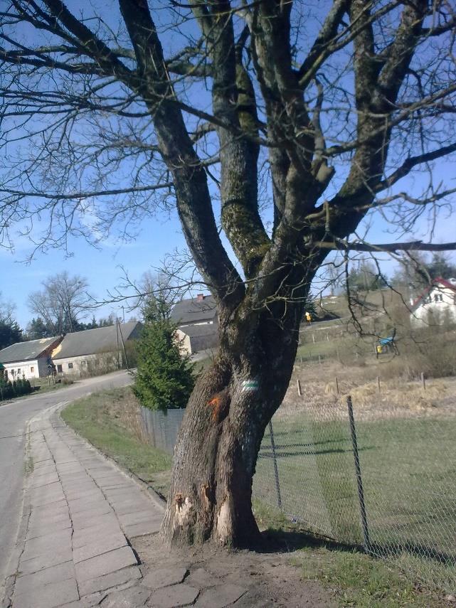Zarząd przekazał do rozpatrzenia, zgodnie z ustaloną procedurą, pismo Burmistrza Miasta Kościerzyna o rozłożenie na raty kwoty 126.297,46 zł za pobyt dzieci w pieczy zastępczej.
