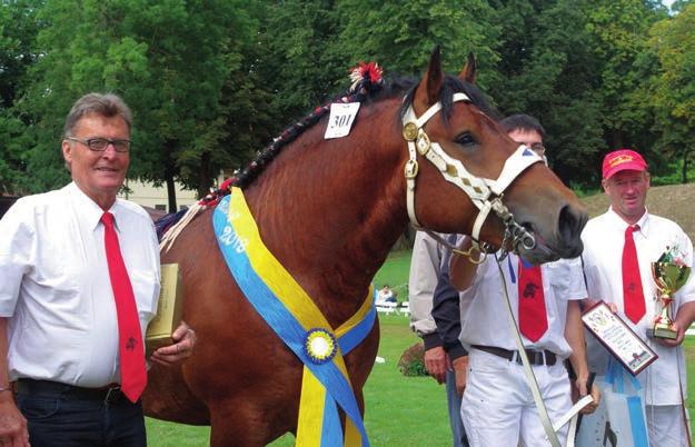 z Zakupiony do Polski czempion ogierów dwuletnich Gaillard de Gibariet ard.fr. (Martell ard.szw. Alizee de Gibarriet ard.fr. po Rival du Caire), hod. i wł.
