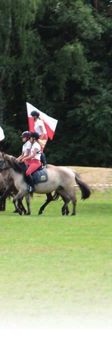 Ogiery zamieszkujące rezerwat w nadleśnictwie Kliniska reprezentują dwie linie męskie Chochlika i Myszaka, a klacze należą do pięciu linii: Liliputki, Traszki, Tarpanki, Karolki i Misi II.