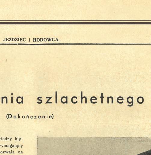 Jeździec