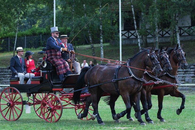 HISTORIA I SZTUKA c Trójka Jacka Jantonia i jego szwedzki brek regionalnych w konkursach tradycyjnego powożenia, w odniesieniu do historycznie utrwalonego i praktykowanego stylu, który nie budzi