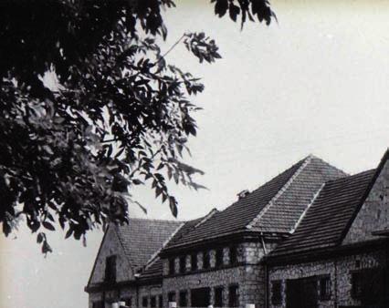 HISTORIA I SZTUKA Stadnina Koni Michałów - założenie i idea tekst: Hanna Sztuka zdjęcia: z archiwum SK Michałów We wrześniu minęło 65 lat, odkąd konie czystej krwi arabskiej przybyły do Michałowa w