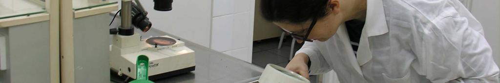 Na terenie przejścia funkcjonuje wydzielone miejsce, na którym wykonać można mycie oraz dezynfekcję pojazdu. Funkcjonuje również urządzenie do zrzutu ścieków z pojazdów.