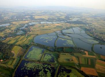 Akwakultura niskointensywna Stawy ziemne o powierzchniach dochodzących do kilkuset ha Liczba podmiotów ok. 850 Produkcja ryb konsumpcyjnych ok. 20 tys.