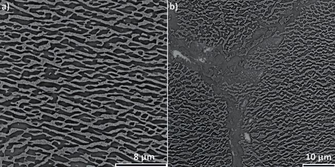 M. Grudzień, R. Cygan, Z. Pirowski, Ł. Rakoczy: Charakterystyka mikrostruktury nadstopu Inconel 71