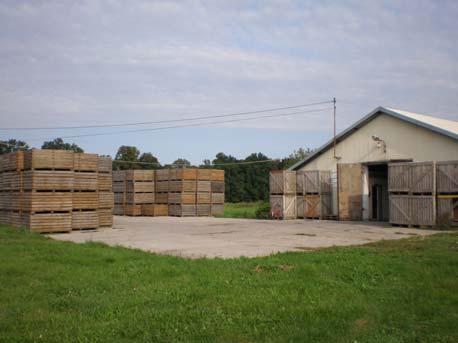38 Ziemniak Polski 2017 nr 1 zmach (fot.