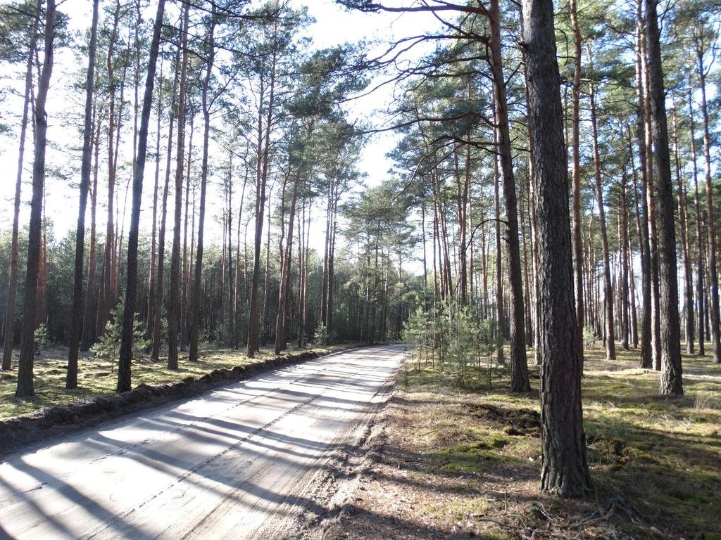 Przejazd do Kamiennika (6 km) Z Piłki trasa prowadzi leśną drogą do Kamiennika.