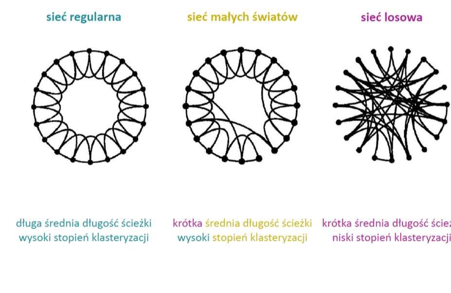 Nieodporna na ataki celowane Stabilna (odporna) i szybka (skróty) Nieodporna na zaburzenia We wszystkich modelach liczne