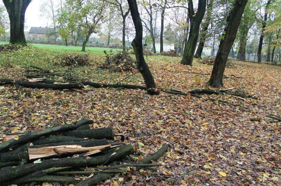 "Rana szarpana okolicy łonowej z penetracją przelotową do pośladka prawego i w okolicę okołoodbytniczą.