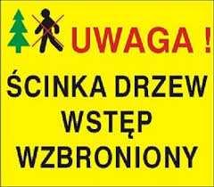 PODSUMOWANIE Leśnictwo w Polsce podobnie jak w innych
