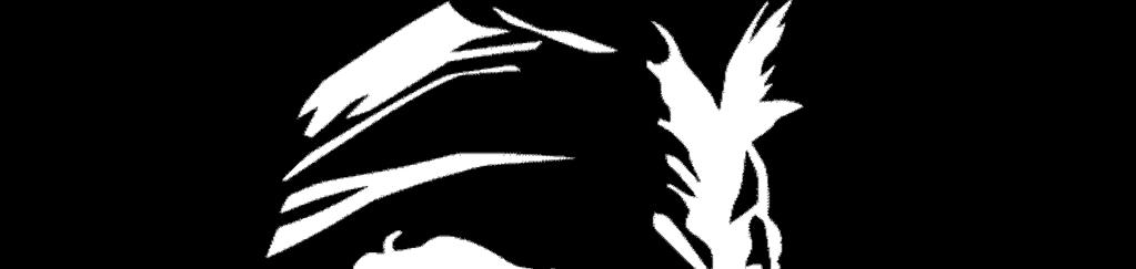 PROGRAM WYCHOWAWCZO -