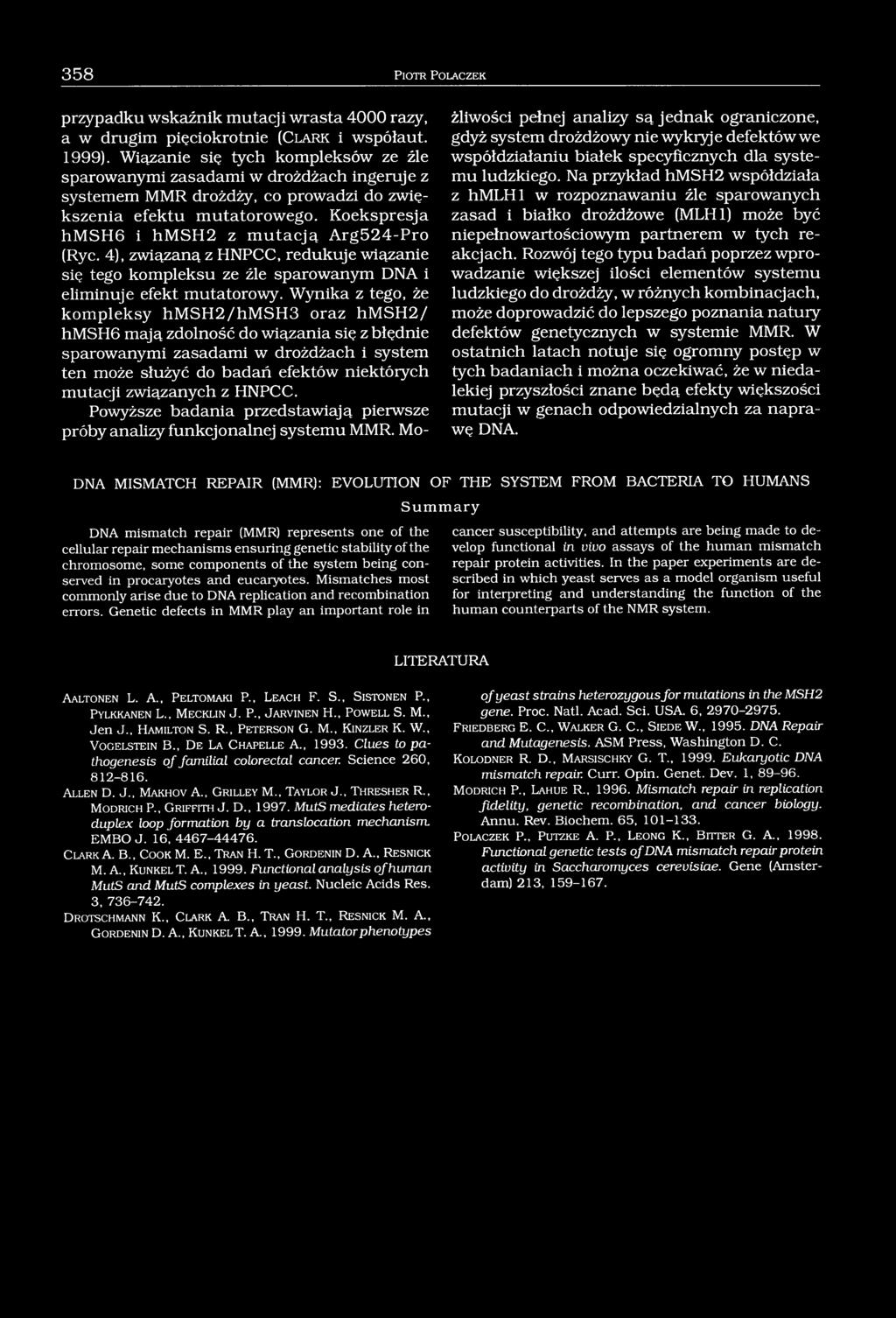 Koekspresja hmsh6 i hmsh2 z mutacją Arg524-Pro (Ryc. 4), związaną z HNPCC, redukuje wiązanie się tego kompleksu ze źle sparowanym DNA i eliminuje efekt mutatorowy.