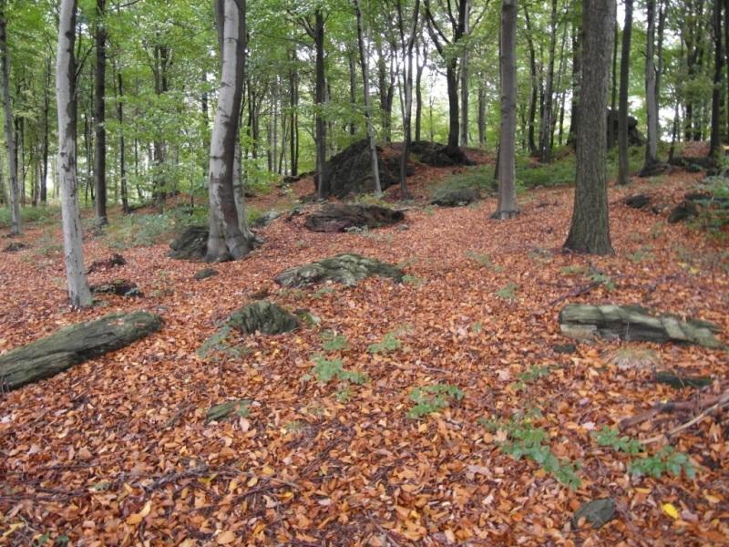 Infrastruktura turystyczna w okolicy geostanowiska Wykorzystanie i zastosowanie skały oraz związane z nią aspekty kulturowe i historyczne W pobliżu stanowiska brakuje jakiejkolwiek infrastruktury