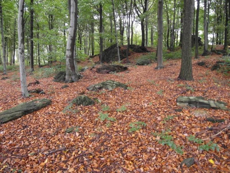 Infrastruktura turystyczna w okolicy geostanowiska Wykorzystanie i zastosowanie skały oraz związane z nią aspekty kulturowe i historyczne W pobliżu stanowiska brakuje jakiejkolwiek infrastruktury