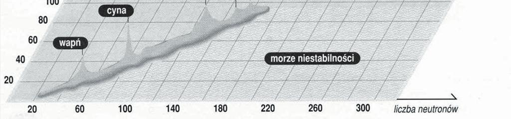 liczba porządkowa dr