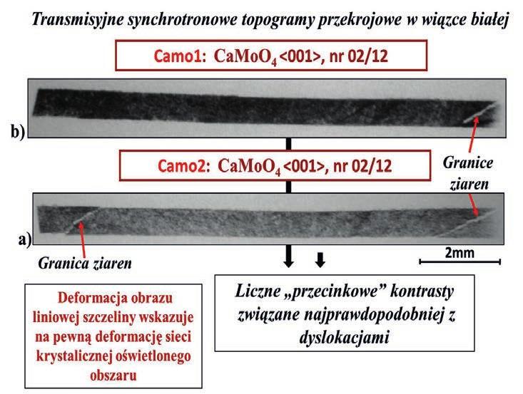Wzrost monokryształów molibdenianu wapnia domieszkowanych jonami ziem rzadkich... Rys. 11. Synchrotronowe topogramy transmisyjne w wiązce białej fragmentów próbek Camo1 (a) i Camo2 (b).