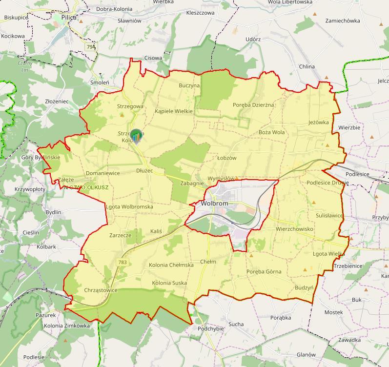 Rysunek 10. Kompleksy leśne Miasta i Gminy Wolbrom.