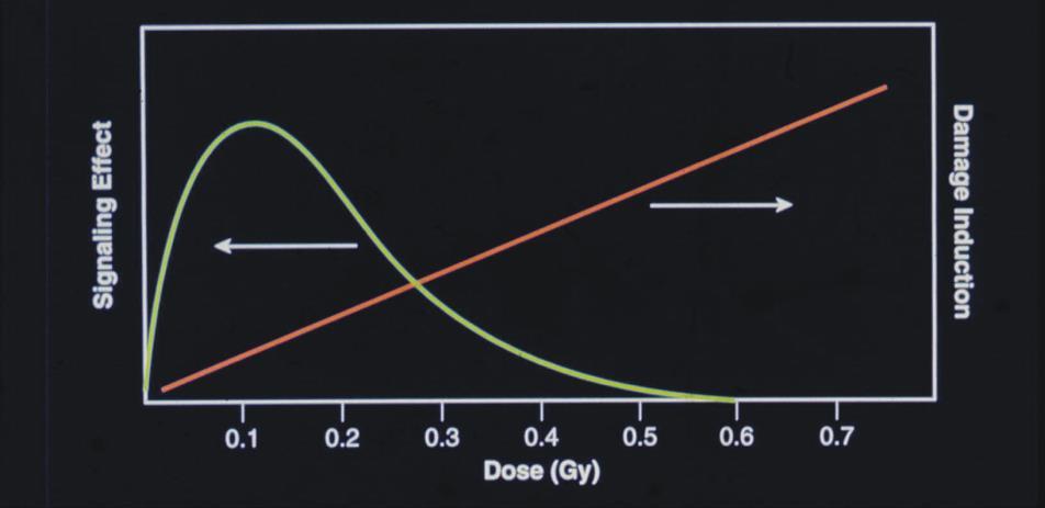 Dual Response Action - Prof. L.