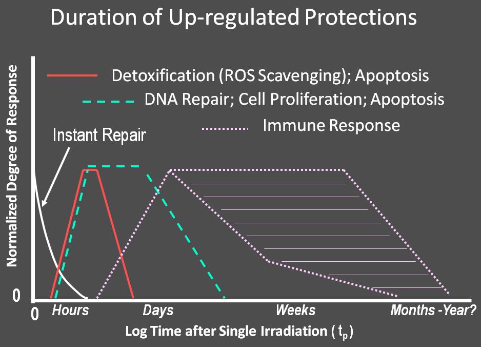 radiation exposure: New concepts in