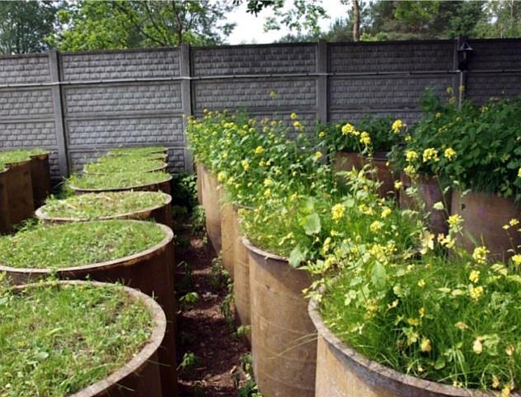 Tabela 2. Właściwości nawozów organicznych zastosowanych w doświadczeniu Table 2.