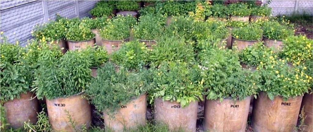 Inżynieria Ekologiczna / Ecological Engineering Vol.