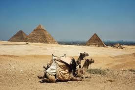 WYCIECZKI HISTORYCZNE KAIR I PIRAMIDY PROGRAM: WYCIECZKA AUTOKAROWA TYMCZASOWO NIEDOST PNA (zarządzenie Ministerstwa Turystyki Egiptu dot.