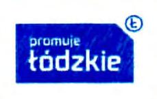 udzielenie zamówienia publicznego prowadzonym w trybie