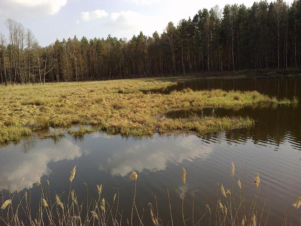 19 Pływająca wyspa torfowa w zbiorniku retencyjnym