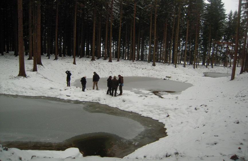 górskim w Nadleśnictwach: Śnieżka i