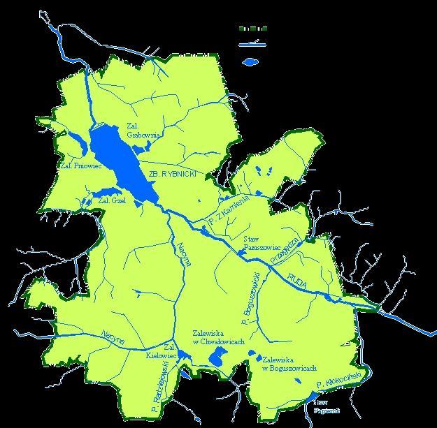 Złożona sieć hydrograficzna: Sieć rzek: Ruda (50.6 km) Nacyna (13.4 km) Sztuczne zbiorniki Zbiornik Rybnicki w północnej części miasta.
