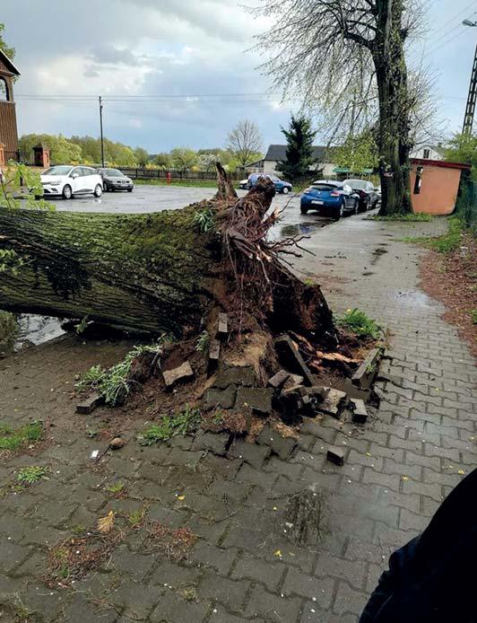 6 WYDARZENIA Głos Raciąża nr 5/2018 WICHURA ZRYWAŁA DACHY, 25 kwietnia nad powiatem płońskim przeszła silna wichura,