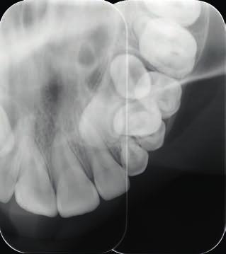 KaVo łączy dentystyczną doskonałość z wyjątkowym