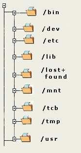 Struktura katalogów w Unixie róŝni się od struktury Windows'a m.in. tym, Ŝe wszystkie urządzenia takie jak FDD, CD-ROM, HDD itd. są reprezentowane przez inne katalogi.