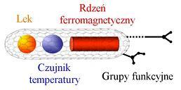oraz nanorurek