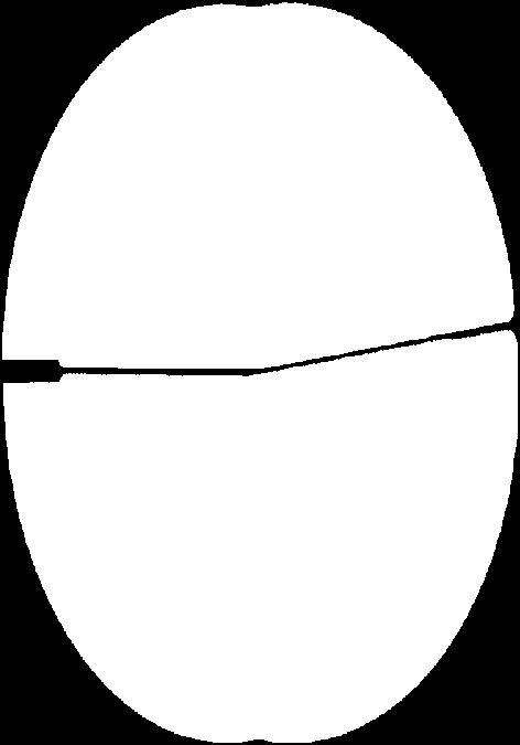 428.278 zł Budżet
