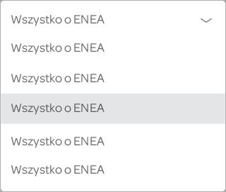 5.4 Lista rozwijana w boxie Stroke 1 px #aeaeae Signika