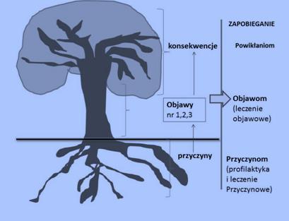 ANALIZA POTRZEB ANALIZA PROBLEMÓW (METAFORA) Analiza problemów często przybiera