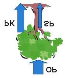 OP PK SP H + Dost/adsor 0,15-0,04 0,002 saldo 0,15 0,10 0,11 Ca + ² Dost/adsor 5,39 2,65 0,018 saldo 5,39 8,04 8,23 SO4 ² Dost/adsor 2,54 13,49 0,63 saldo 2,54 16,03 16,65 CI - Dost/adsor 8,95 9,42