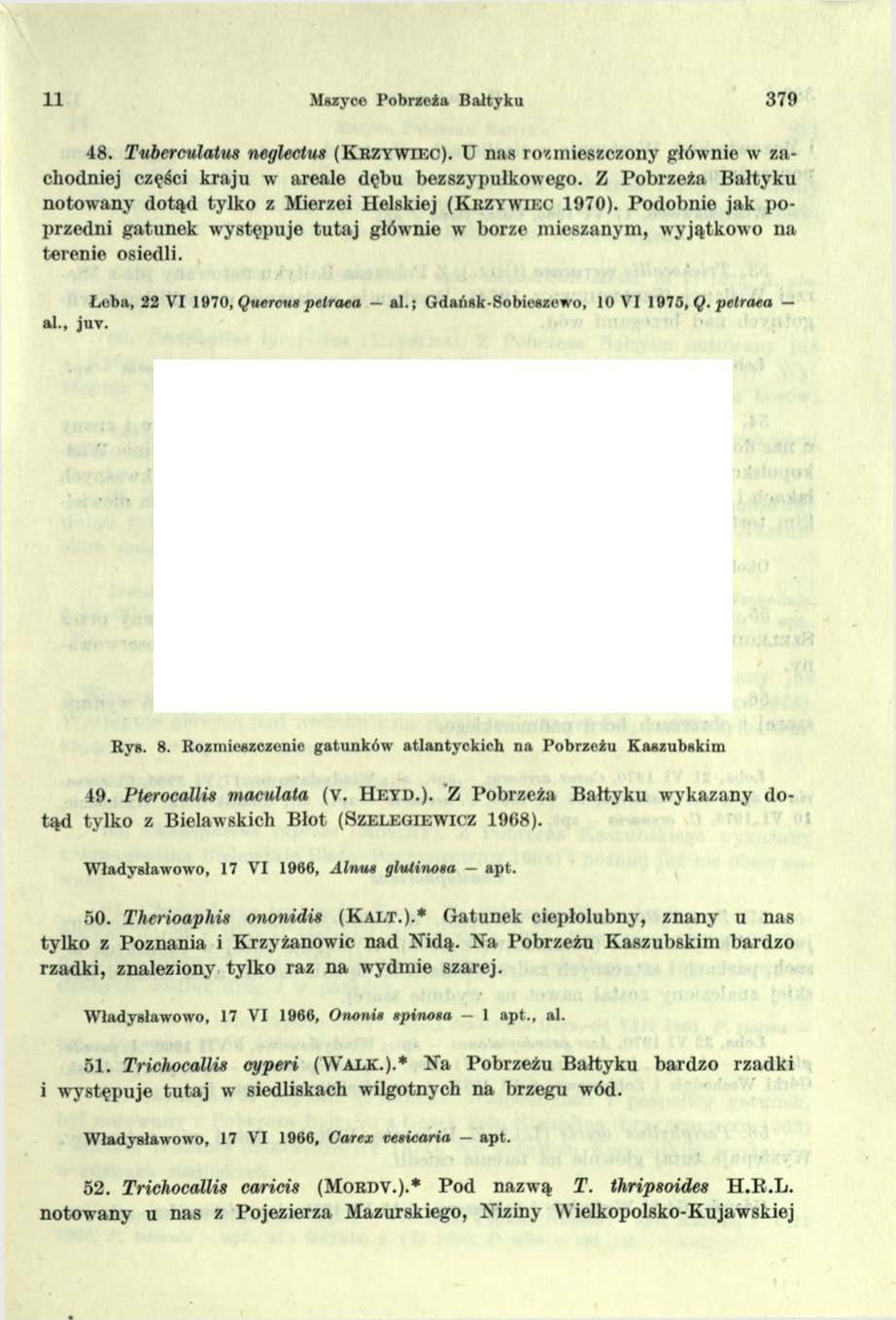 11 Mszyce Pobrzeża Bałtyku 379 4 8. Tuberculatus neglectus ( K r z y w i e c ). U nas rozmieszczony głównie w zachodniej części kraju w areale dębu bezszypułkowego.