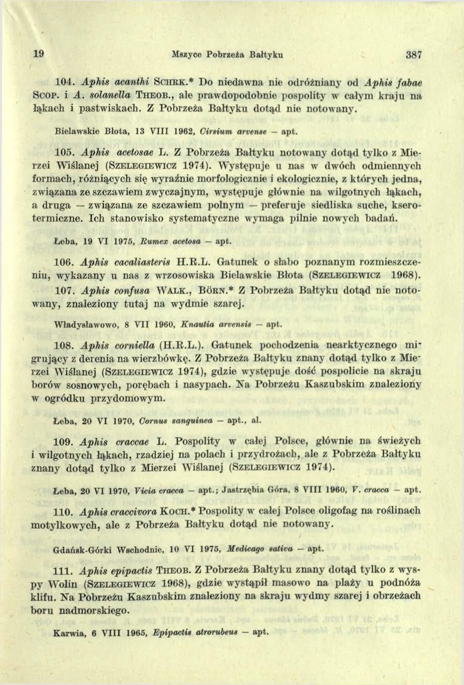 19 Mszyce Pobrzeża Bałtyku 387 104. Aphis acanthi S c h r k.* D o niedawna nie odróżniany od Aphis fabae S c o p. i A. solanella T h e o b.