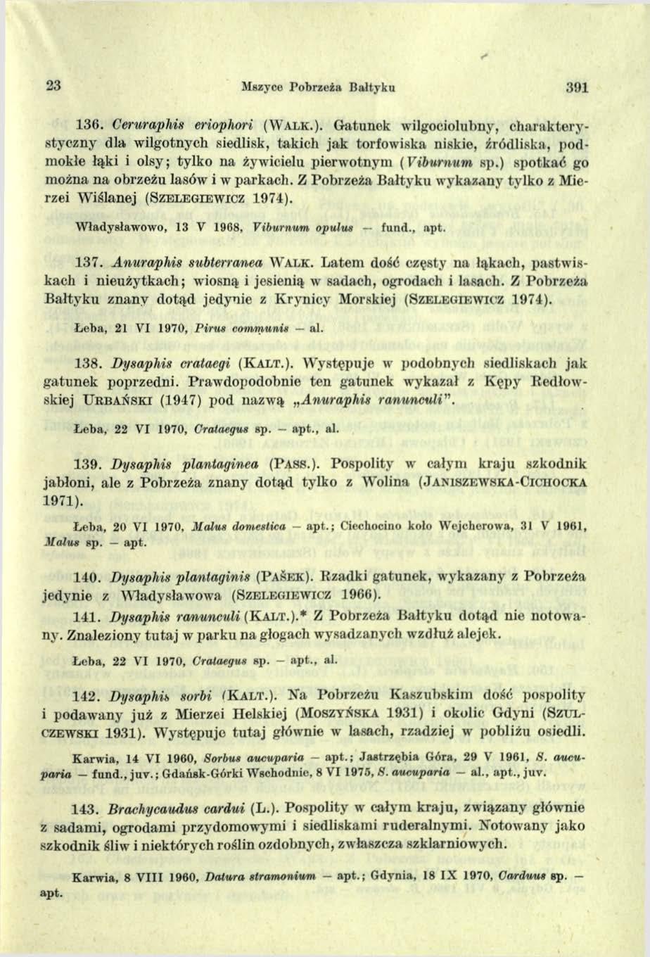 23 Mszyco Pobrzeża Bałtyku 391 1 3 6. Ceruraphis eriophori ( W a l k.).